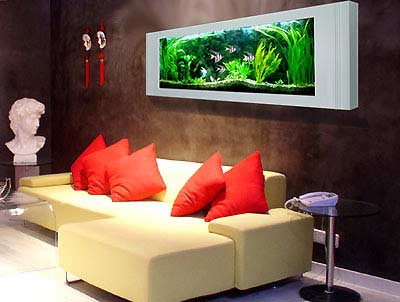 如何摆放鱼缸