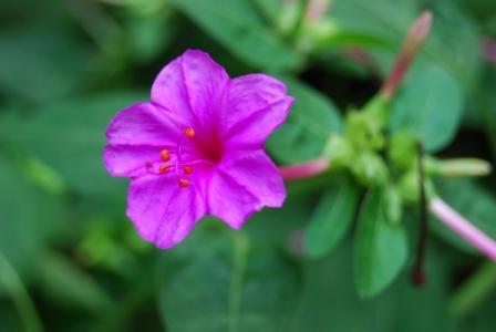 什么是五行 五行不全该如何补 五行缺土者该如何补